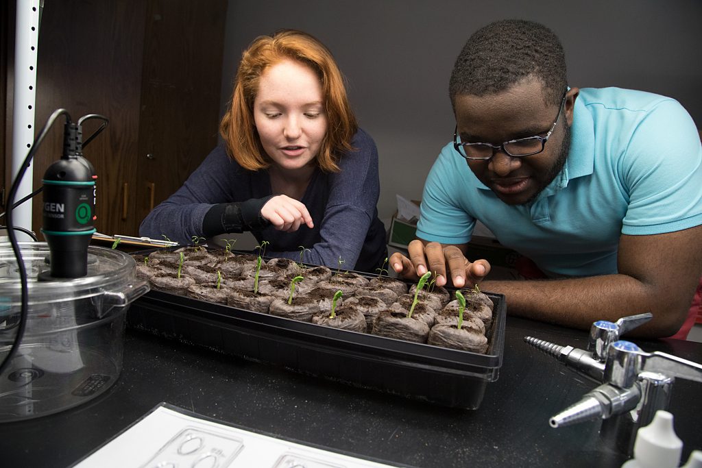 Photograph of Baltimore School for the Arts students growing plants for science class